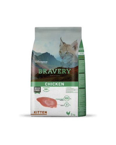 Bravery Chicken Kitten