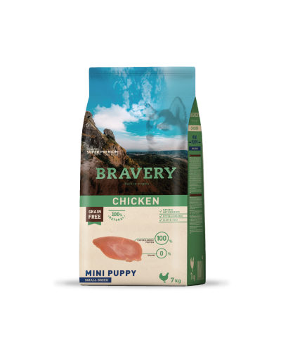 Bravery Chicken Mini Puppy