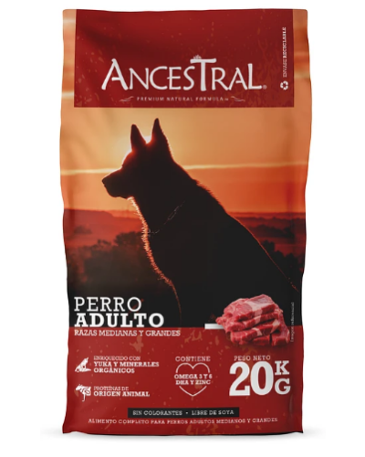 Ancestral Adulto