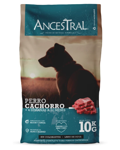Ancestral Cachorro Raza Medianas y Grandes